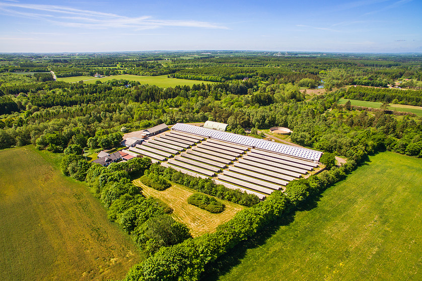 22 Engesvang at Alberto Wilkinson blog