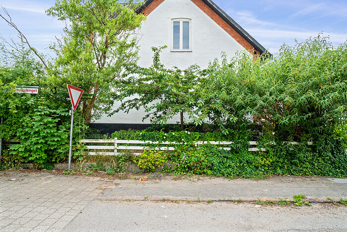 Billede nummer 25