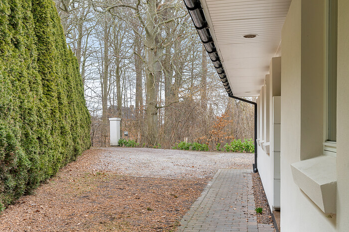 Billede nummer 24