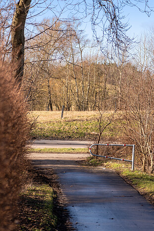 Billede nummer 25