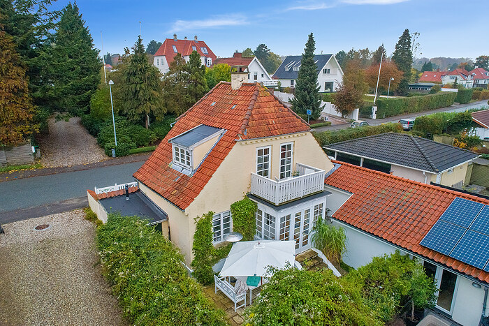 Billede nummer 51