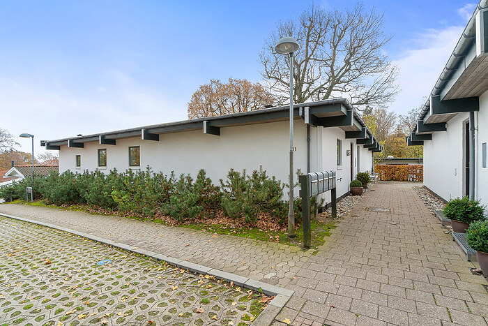 Billede nummer 29