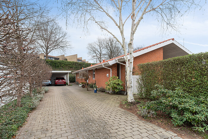 Billede nummer 38