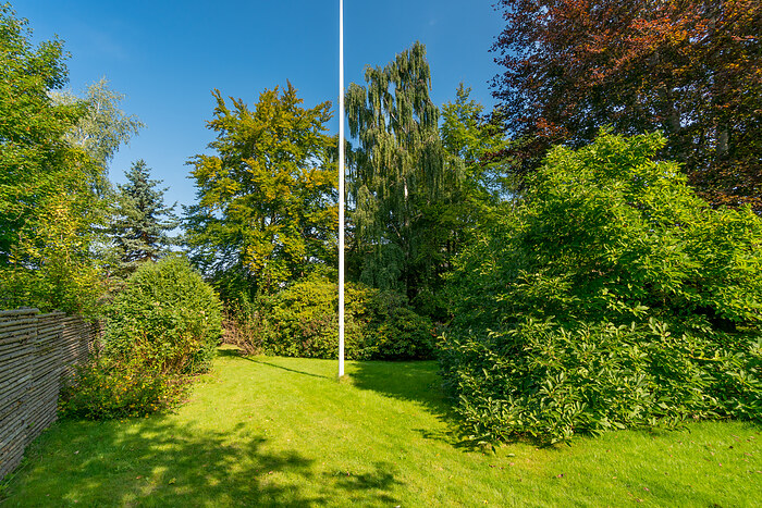 Billede nummer 59