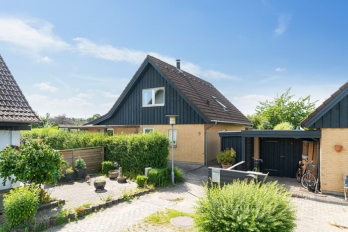 Billede nummer 1