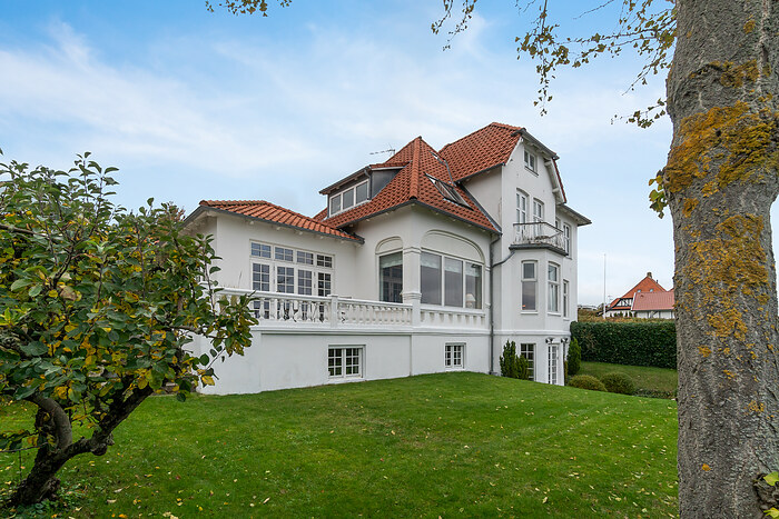 Billede nummer 40