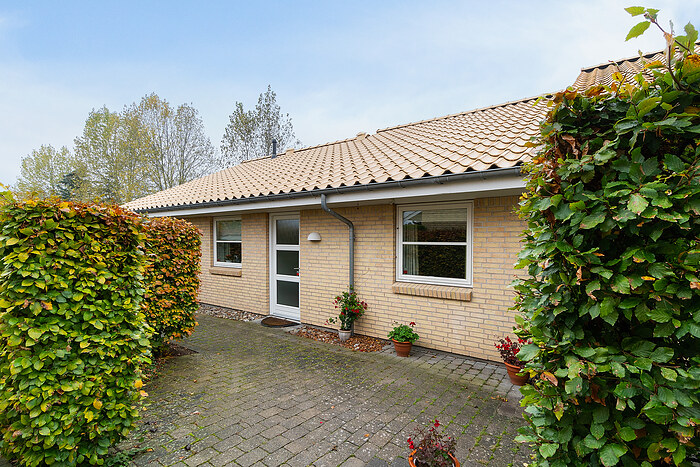 Billede nummer 3
