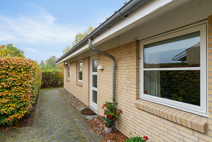 Billede nummer 38