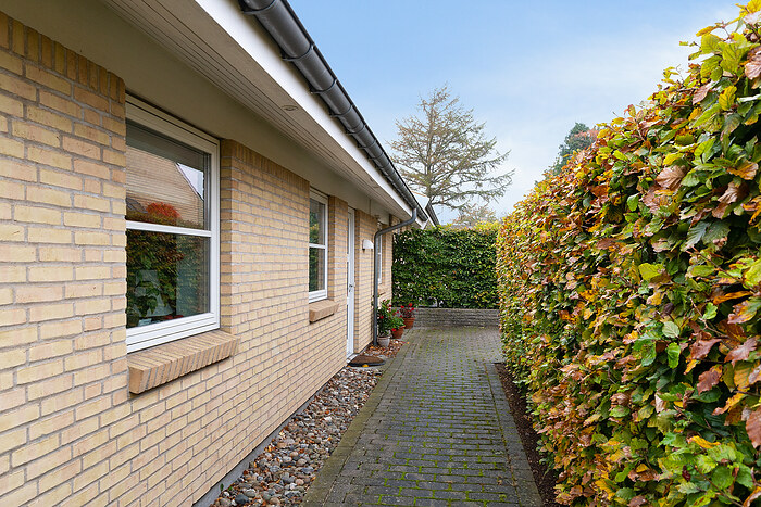 Billede nummer 40