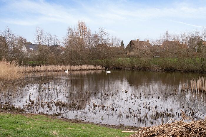 Billede nummer 6