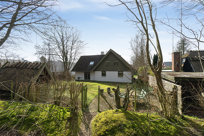 Billede nummer 5