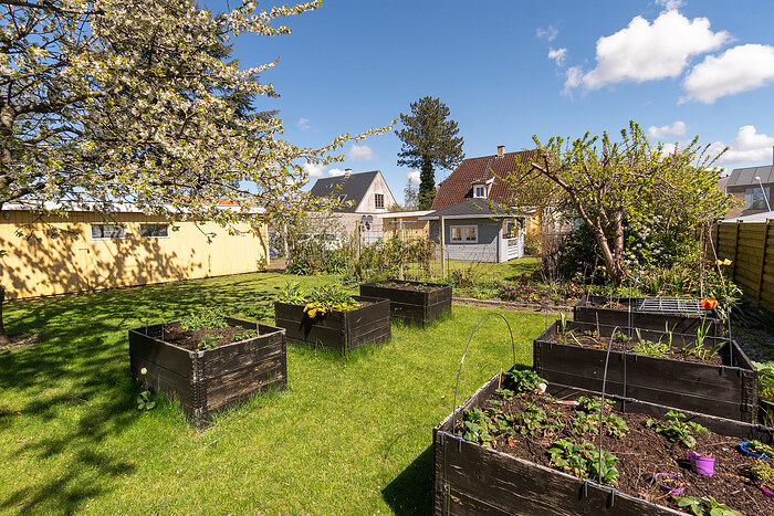 Billede nummer 5