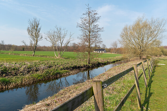 Billede nummer 5