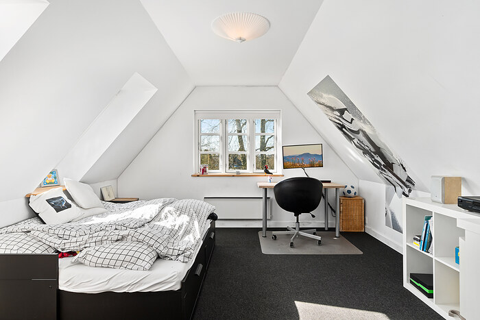 Billede nummer 27