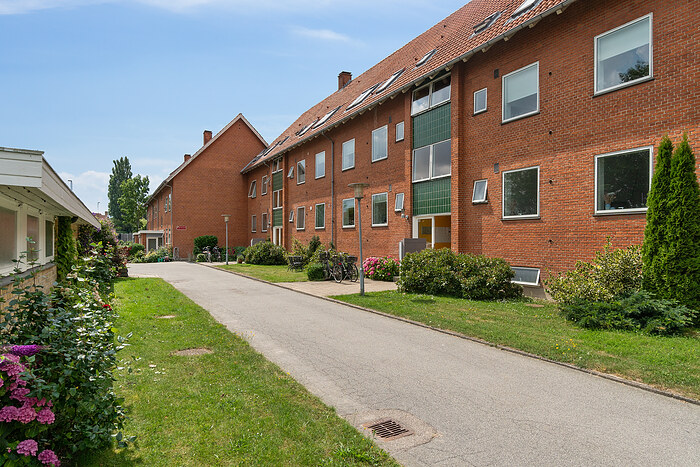 Billede nummer 4