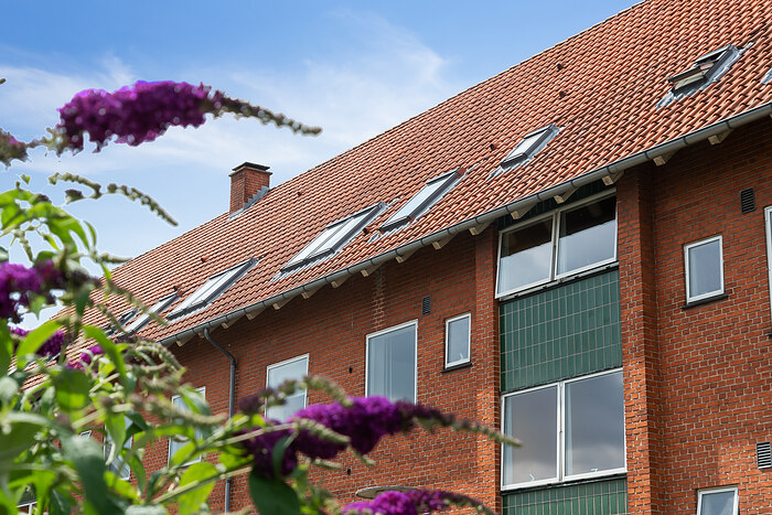 Billede nummer 5