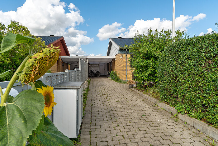 Billede nummer 39