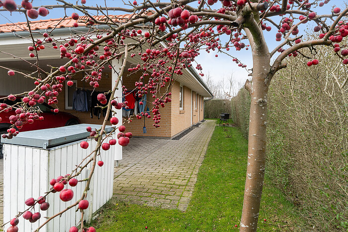 Billede nummer 37
