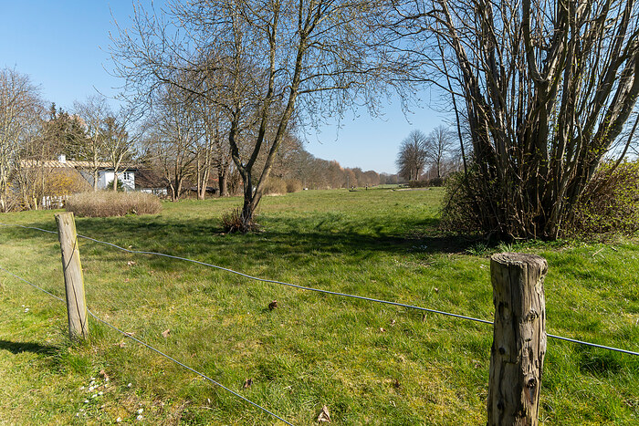 Billede nummer 36