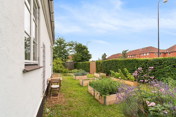 Billede nummer 31