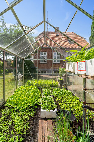 Billede nummer 25
