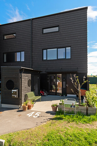 Billede nummer 31