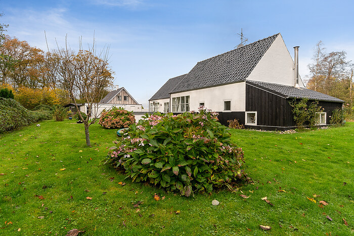 Billede nummer 32