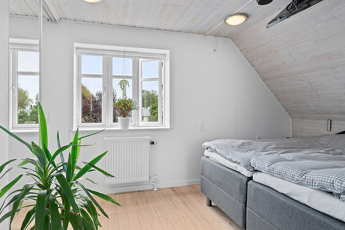 Billede nummer 24