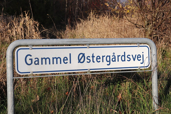 Billede nummer 8