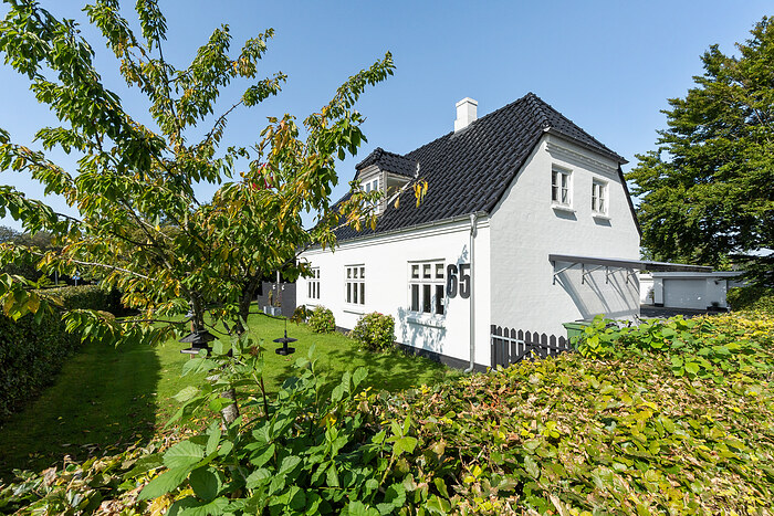 Billede nummer 39