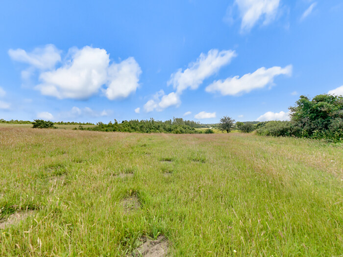 Panorama nummer 5