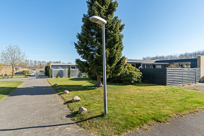 Billede nummer 42
