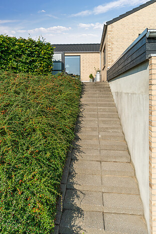 Billede nummer 41