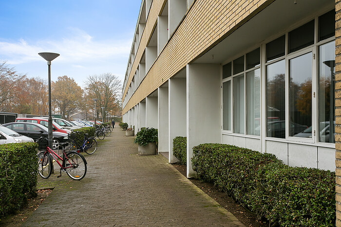 Billede nummer 23