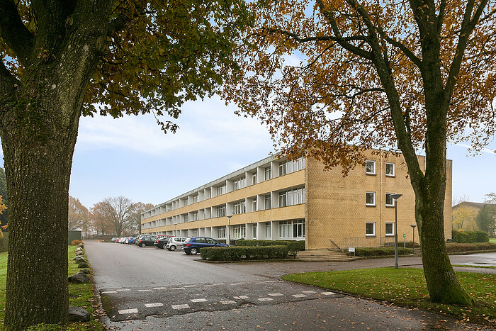 Billede nummer 21