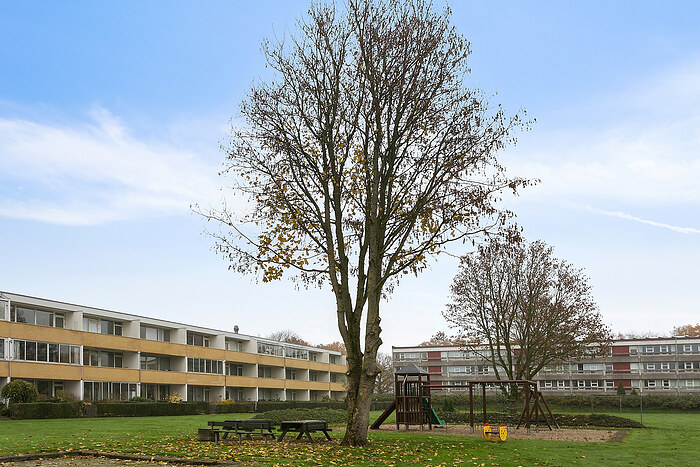 Billede nummer 24