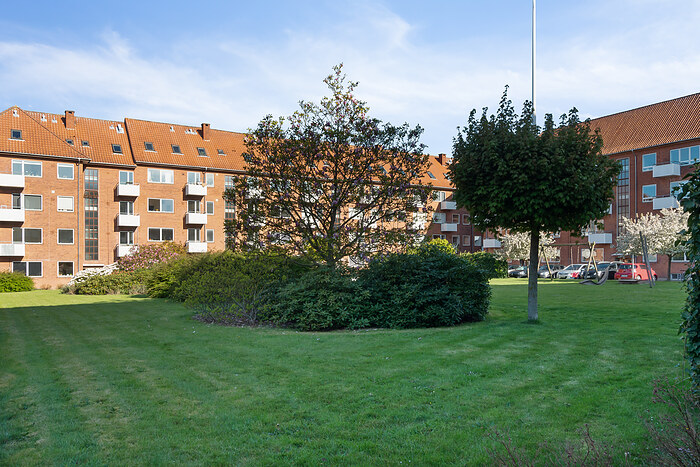 Billede nummer 35