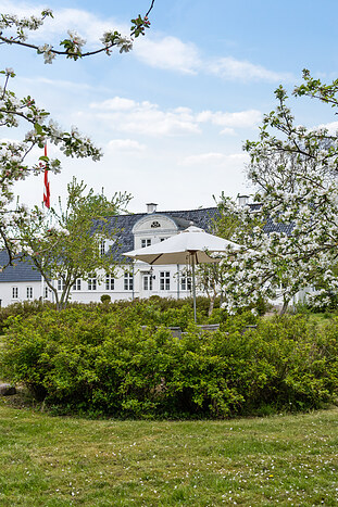 Billede nummer 39