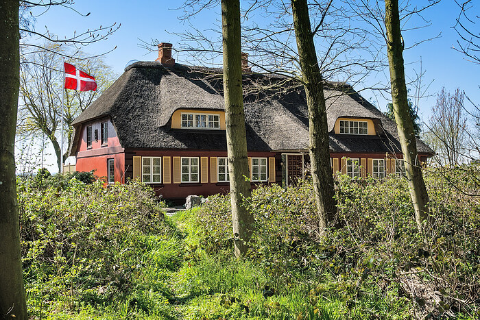 Billede nummer 34