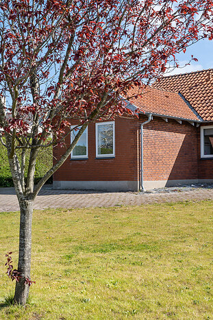 Billede nummer 30