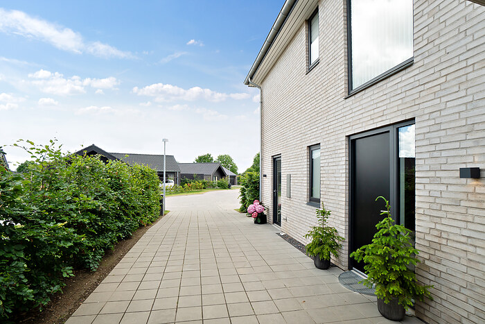Billede nummer 42