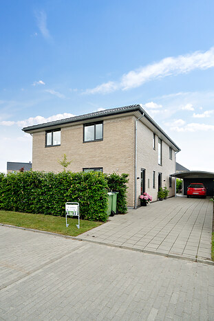 Billede nummer 41