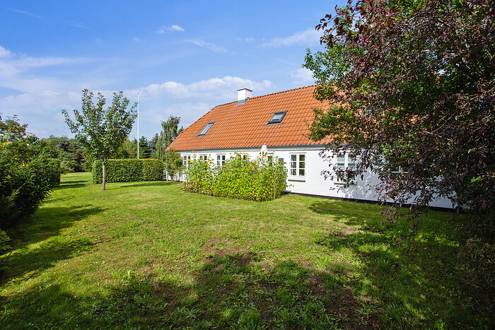 Billede nummer 39