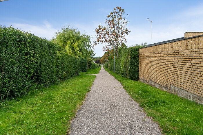 Billede nummer 41